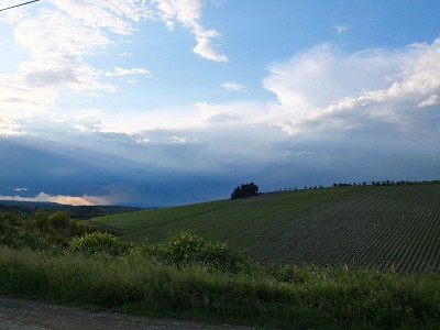 Os vinhedos de Tignanello, Antinori.